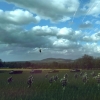 Скриншоты из игры Wargame: EE