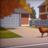 Подборка скриншотов The Sims 3: Pets