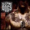 Sleeping Dogs обзаведётся мультиплеером