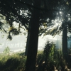 The Forest выходит на PlayStation 4