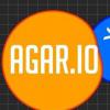 Agar.io 