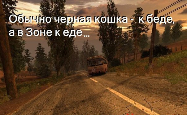 Приколы из S.T.A.L.K.E.R. S.T.A.L.K.E.R. 2