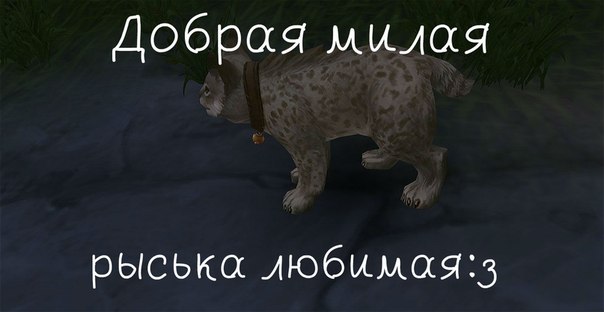 Подборка приколов из Аллоды Онлайн Аллоды Онлайн