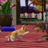 Подборка скриншотов The Sims 3: Pets