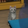 Подборка скриншотов The Sims 3: Pets