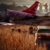 Свежая порция скриншотов State of Decay