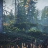 Создатели The Witcher 3: Wild Hunt стараются сделать из игры «мечту любителей ролевых игр»