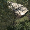 Скриншоты из игры Arma III